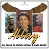 Allay (feat. Urooj Fatima & Abid Brohi) - Single
