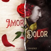 Amor y Dolor (En Vivo) artwork