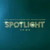 Spotlight (feat. Kaleena Zanders) [VIP Mix] - Single album lyrics, reviews, download