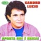 Meu Primeiro Amor - Sandro Lucio lyrics