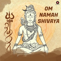 gayatri mantra instrumental by raghav sachar