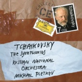 Tchaikovsky: The Symphonies artwork