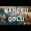 Nahoru Dolu - Single