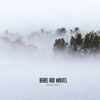 Bears and Wolves - Single