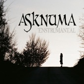 Aşknüma artwork