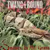 Snakes In the Grass - Single album lyrics, reviews, download
