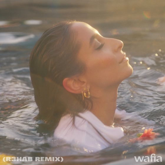 Cover artwork for Good Things (R3HAB Remix)