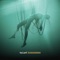 Vacant Surrender - Casey Edwards & Victor Borba lyrics