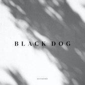 Black Dog artwork
