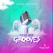 Open Mic Grooves artwork
