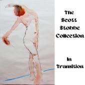 The Scott Stobbe Collection - In Transition