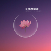 I Brought You Flowers - 5 Reasons