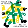 Noson Arall yn y Ffair (feat. Mr Phormula) - Single