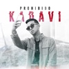 Prohibido - Single