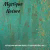 Mystique Nature - Extalting Nature Music to Soothe You, Vol. 1 album lyrics, reviews, download