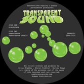 Transparent Sound - Remanisance