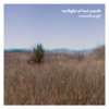Cosmothought - Against the Dying Light