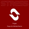 Prayer (DJ Seinfeld Remix) - Single