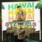 Hawái - combinacion de la habana & Nesty lyrics
