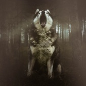Wolf Spirit artwork