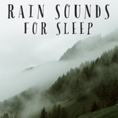 Rain Sounds For Sleep - EP artwork