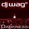Darkness (Busho Remix 2010) - DJ Wag lyrics