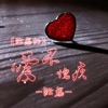 酝磊 - 酝磊的人生有几个十年