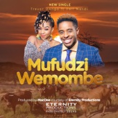 Mufudzi Wemombe (feat. Feli Nandi) artwork
