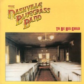 The Nashville Bluegrass Band - No Hiding Place