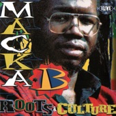 Macka B - I Don't Like Reggae