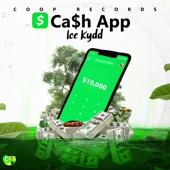 Cash App artwork