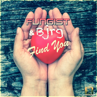 Fungist & Bjrg - Find You