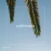 Calmness - Single album lyrics, reviews, download