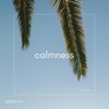 Calmness - Single