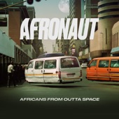 Afronaut - Birdhouse