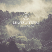 Bridges and Borders - EP - Leaves & Trees