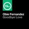 Goodbye Love - Obie Fernandez lyrics