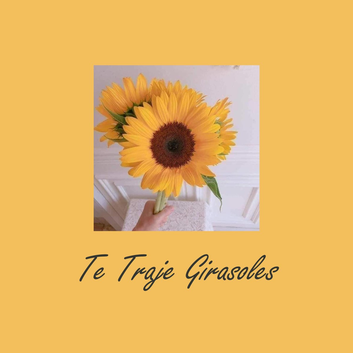 Te Traje Girasoles - Single by Enek on Apple Music