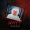 Why? (feat. Infamous Dimez & Bella) - The Life of S14 lyrics