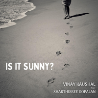 Vinay Kaushal - Is It Sunny? (feat. Shakthisree Gopalan) - Single artwork