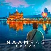 Naam Ras Peeve artwork