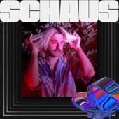 Schaus - Wondered That About You