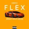 FLEX - Instrumental song lyrics