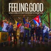 Feeling Good (feat. Snow Tha Product & CNG) artwork