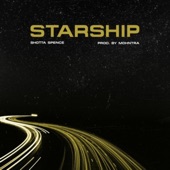 Starship artwork