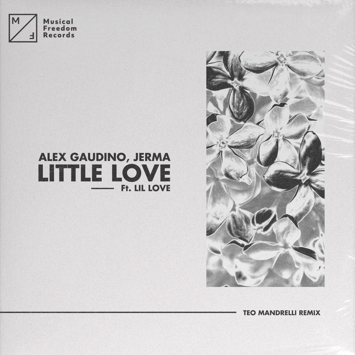 Little love remix. Tom Enzy, Lissa - little Love.