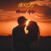 Hercai - Masal Gibi artwork