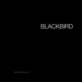 Blackbird artwork