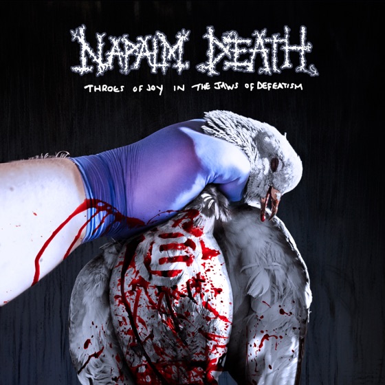 Cover artwork for Backlash Just Because