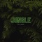 Jungle (feat. Lenzez) - Btk lyrics